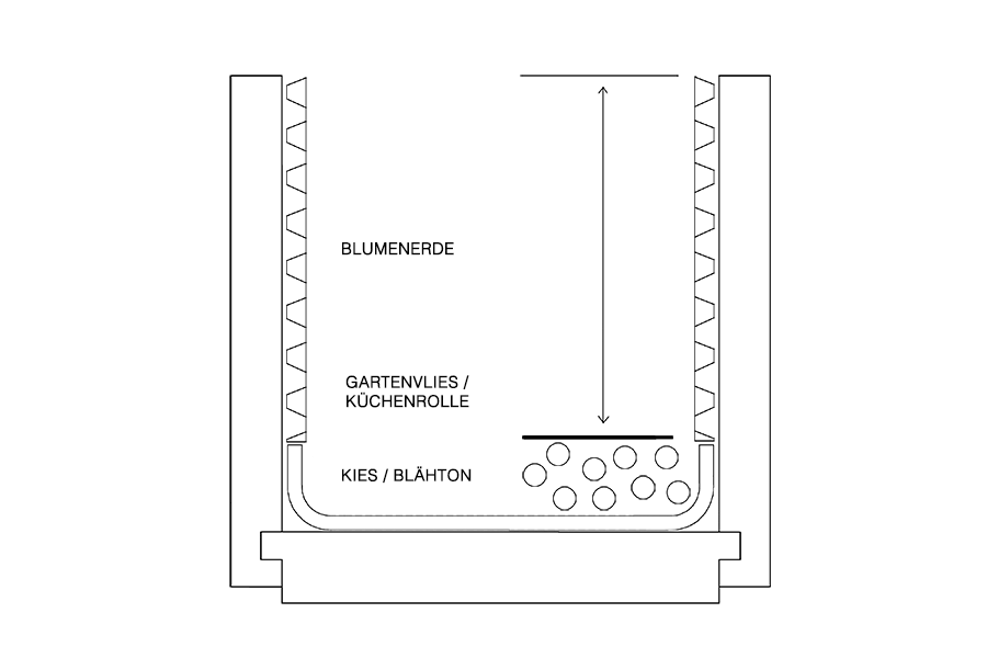 freestanding planter with olive herb