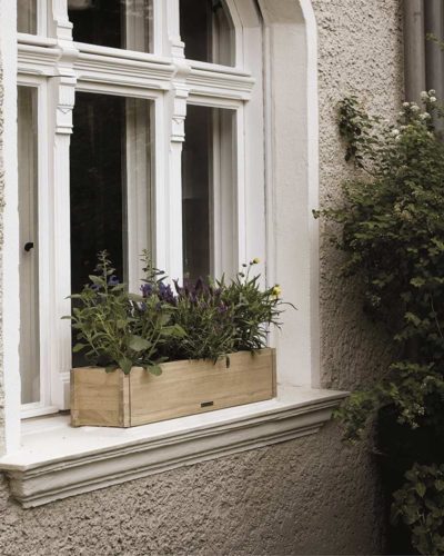 Blumenkasten Berlin Fenster Sephia