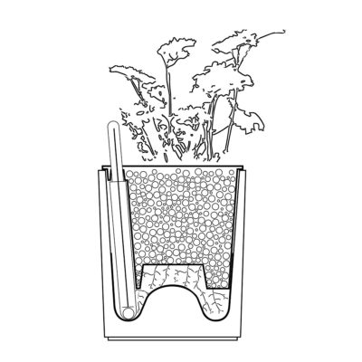 Beton Übertopf Mit Basilikum