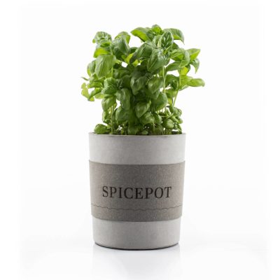 Beton Übertopf Mit Basilikum