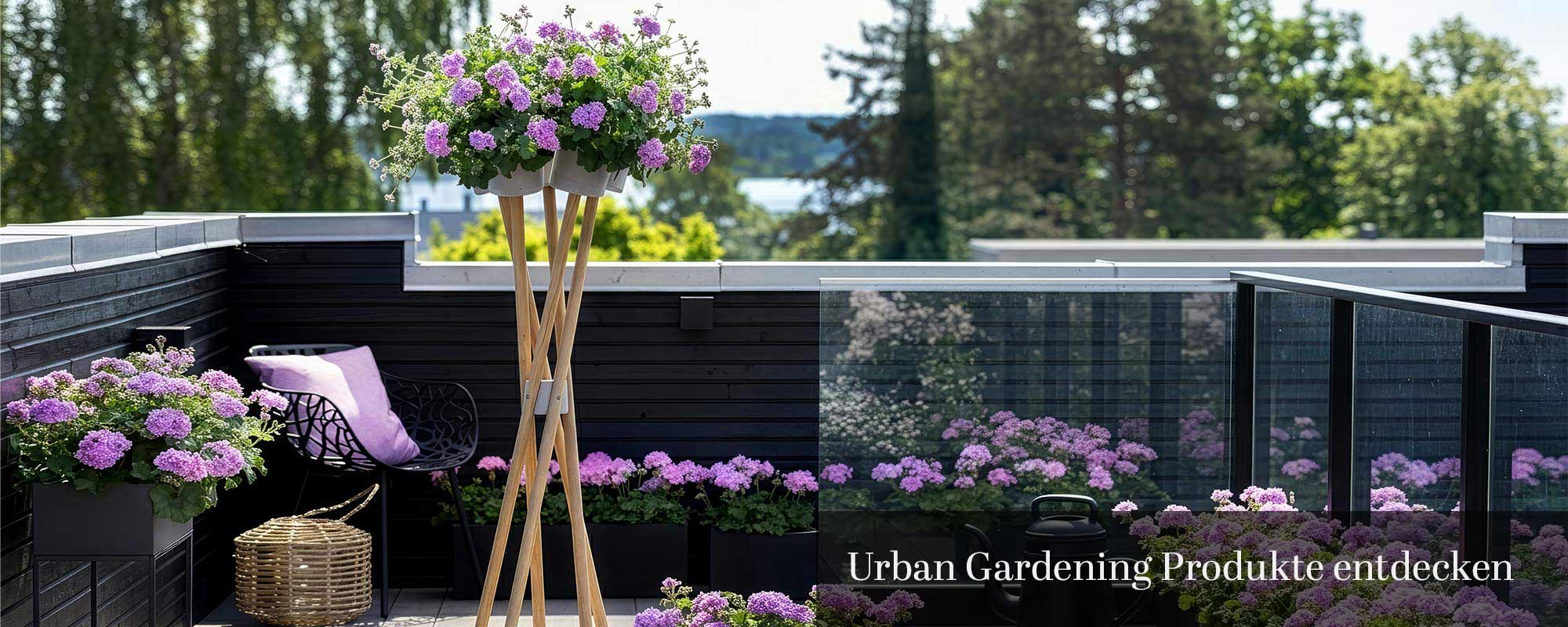 Blumenständer Geranien Lila Terrasse