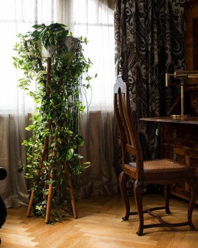 plant stand with home plants