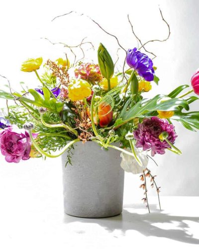 concrete flower pot with herbs