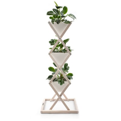 Indoor Garten bepflanzt Weiß