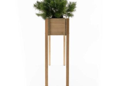 Kleines Hochbeet mit Olivenkraut