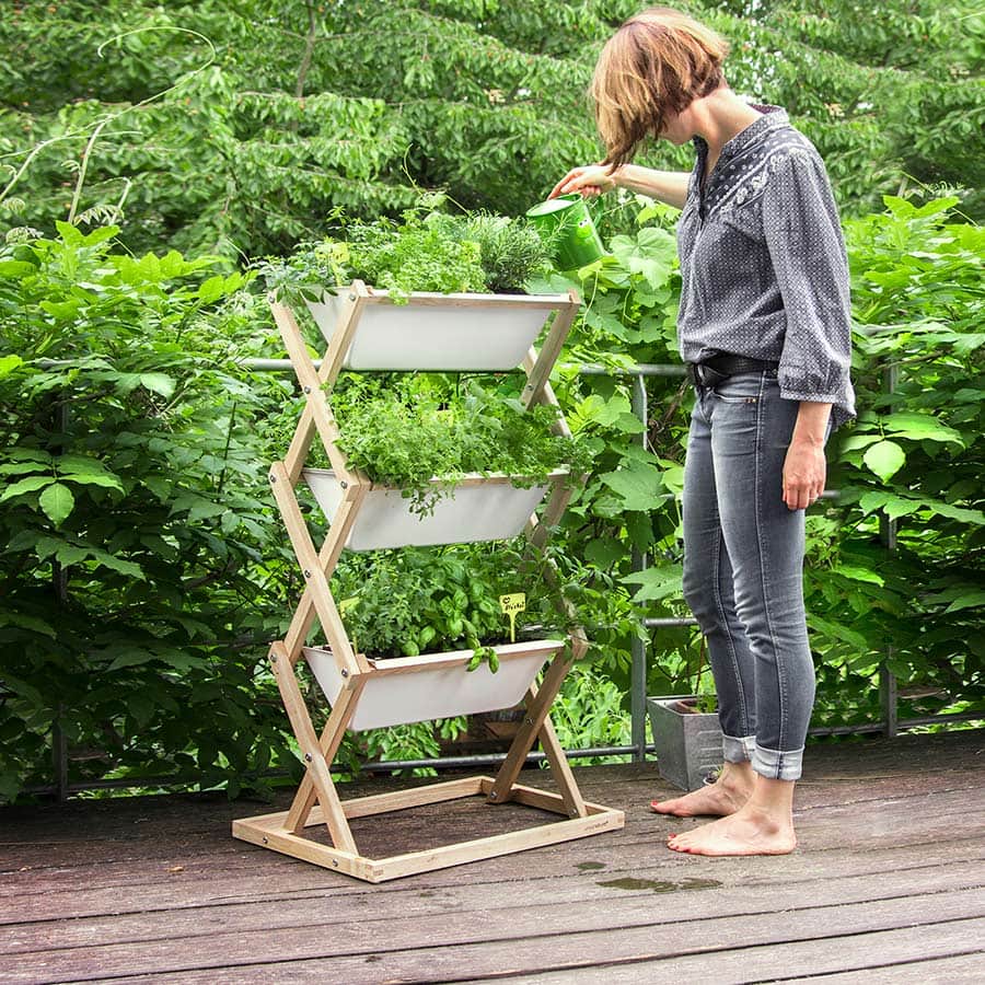 Kräutergarten In Vertikalen Blumenkästen