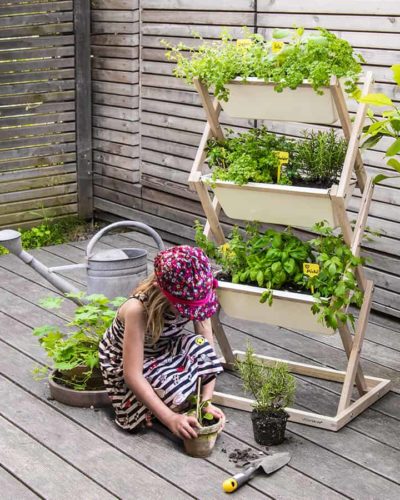 vertical planter with herbs