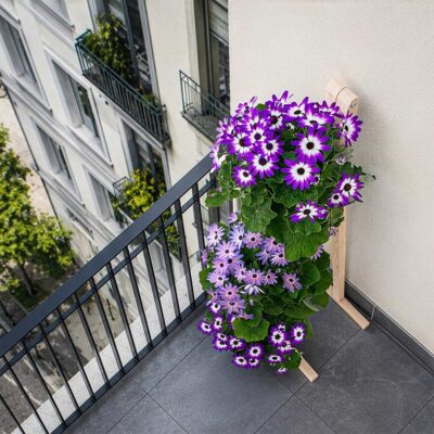 Plant trellises with planters to protect your balcony from the rain