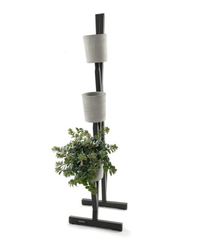 Pflanzenleiter Schwarz Mit Pflanze