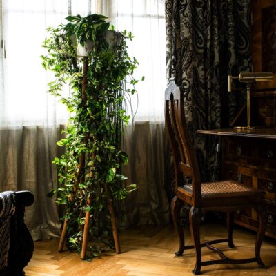 A plant stand with five hanging plants in front of a window without a windowsill