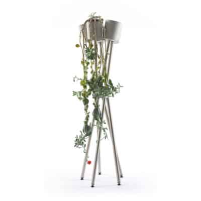 plant stand with home plants