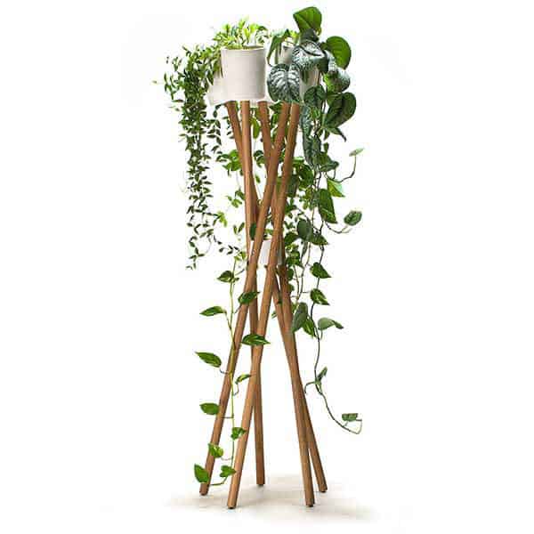 plant stand with home plants