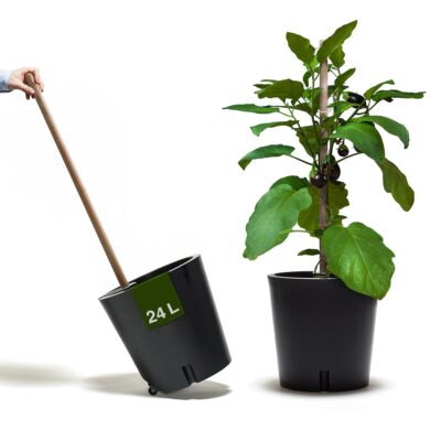 plant pot with wheels, aubergine, anthrazit