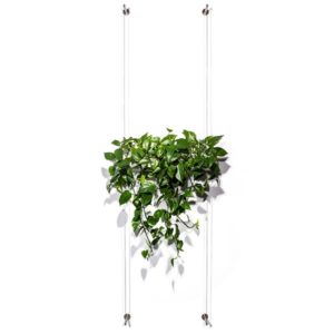 wall greening with plant tube