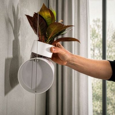 Wandbegrünung hydroponische Philodendron