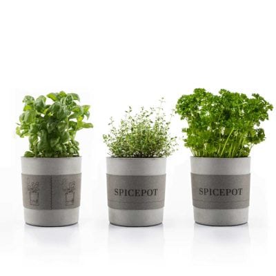 Spicepot Kräutertöpfe Dreier Set