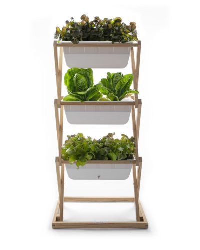 vertical garden with salad - robinia