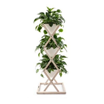 Weißer Vertikaler Indoor Garten Mit Drei Philodendron Pflanzen