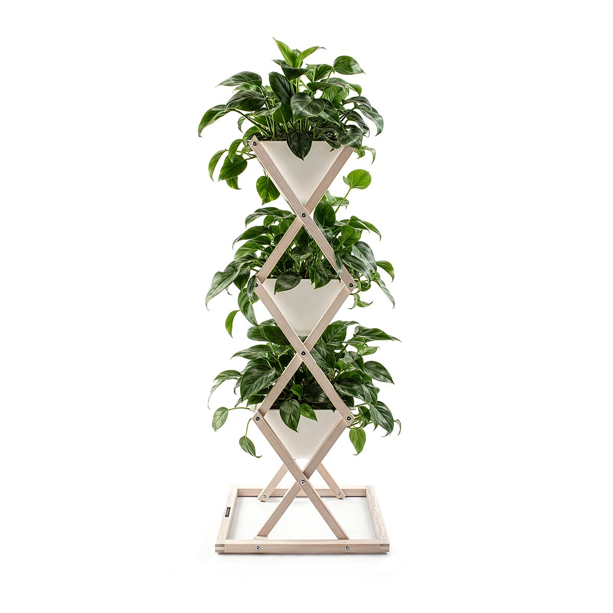 Weißer Vertikaler Indoor Garten Mit Drei Philodendron Pflanzen