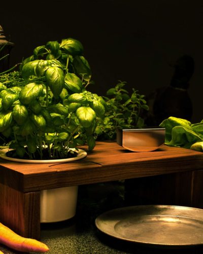 Wiegemesser Mit Basilikum