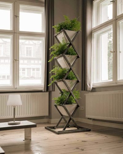 Zimmerfarn im klappbaren Hochbeet