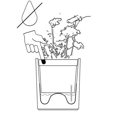 Beton Übertopf Mit Basilikum