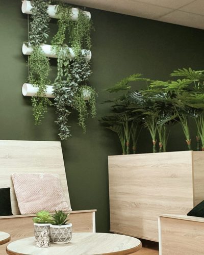 wall greening_Philodendron