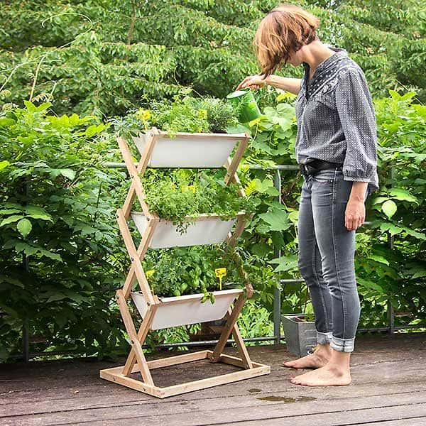 vertical garden with herbs on a patio