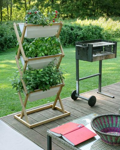 vertical garden on a terrace